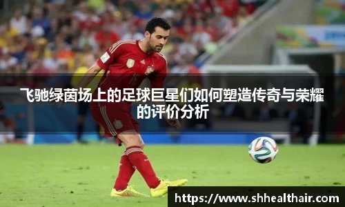 飞驰绿茵场上的足球巨星们如何塑造传奇与荣耀的评价分析